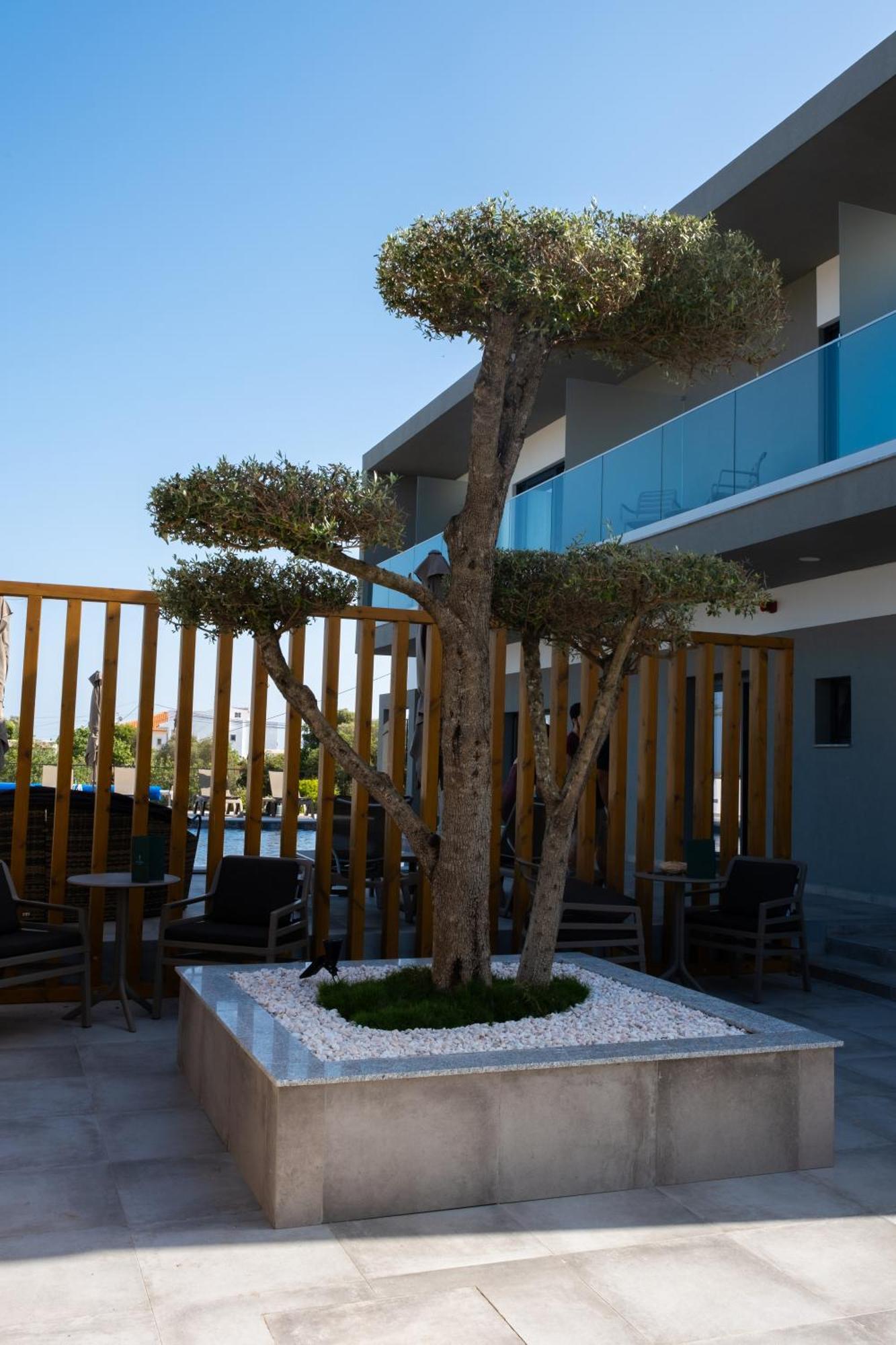 Ria Formosa Guest House FAO Kültér fotó